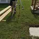 Windows & Doors&nbsp;